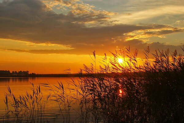 Schöne Sonnenuntergang Landschaft am Fluss