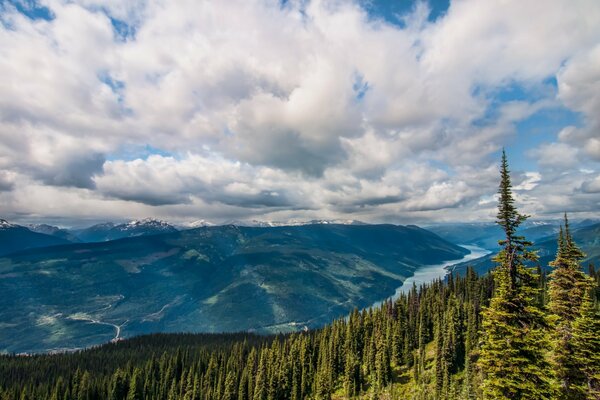 Mesmerizing pine valley through the clouds