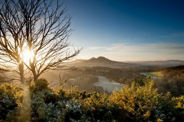 Sunrise in the mountains with a river and a tree