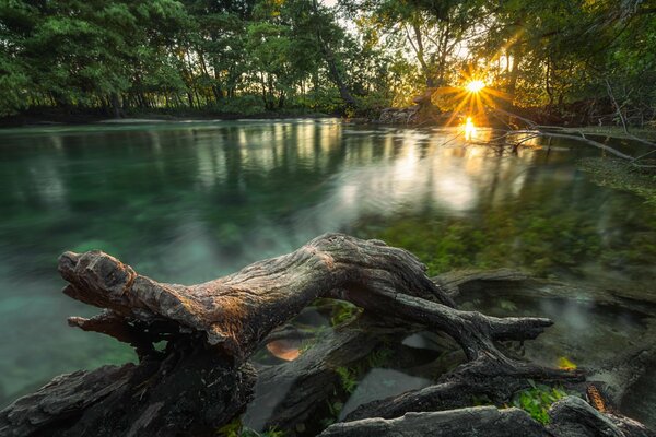 En el río en la selva, el amanecer despierta a todos los seres vivos