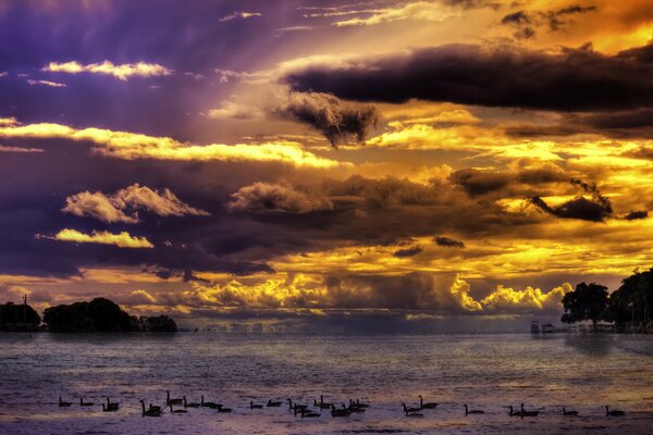 Paysage de beau ciel et lac avec des oiseaux