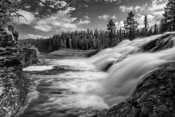 Monochrome Landschaft mit Wasserfall und Wald