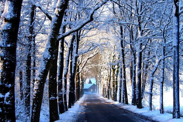 Der Winterweg zum verschneiten Haus