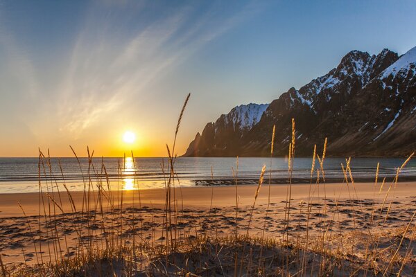 Ersfjordbotn Norvège mer plage