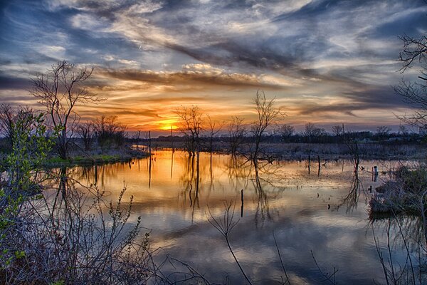 Trees in spring at sunset. Spill reflection of clouds