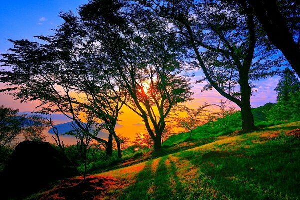 Natur Sonnenuntergang Landschaft Bäume