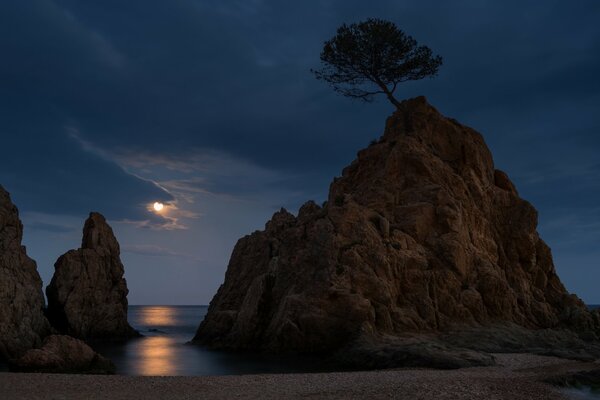 Roca solitaria a la luz de la Luna