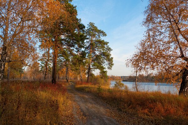 Mit der ersten Herbstkälte