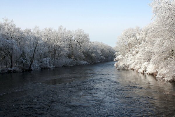 Pokryte śniegiem drzewa w pobliżu rzeki