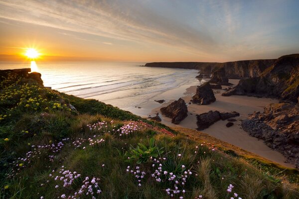 Coucher de soleil mer paysage feuilles