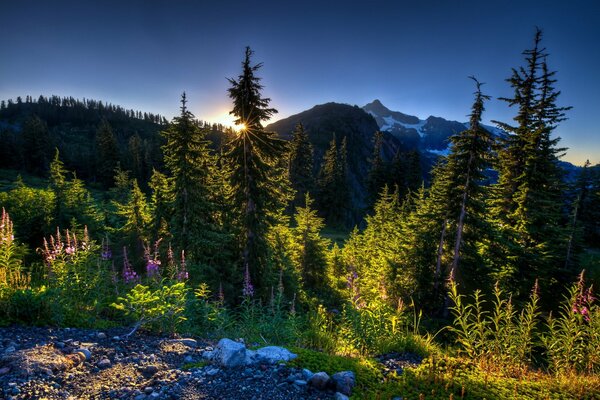 Berglandschaft des Sonnenaufgangs