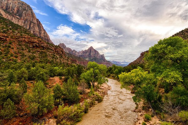 Rivière dans les montagnes dans le parc National de Zion