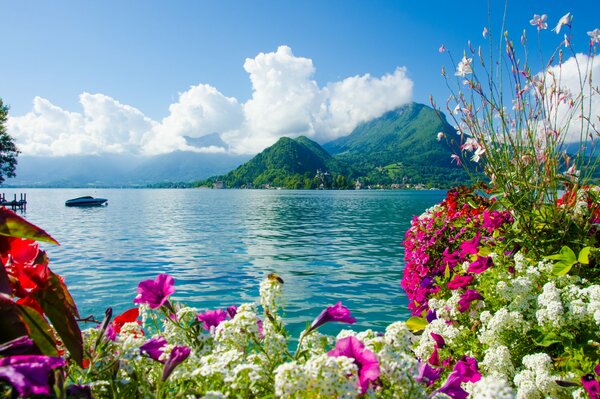 Paysage marin avec des fleurs et des montagnes