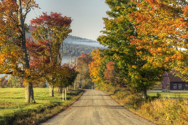 Nature en automne. Route du village