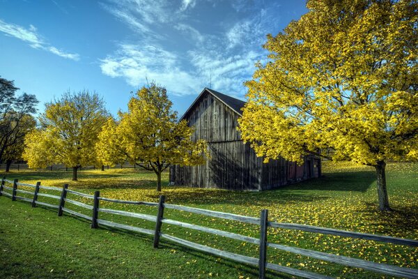 Landscape with a wooden house, trees and a fence