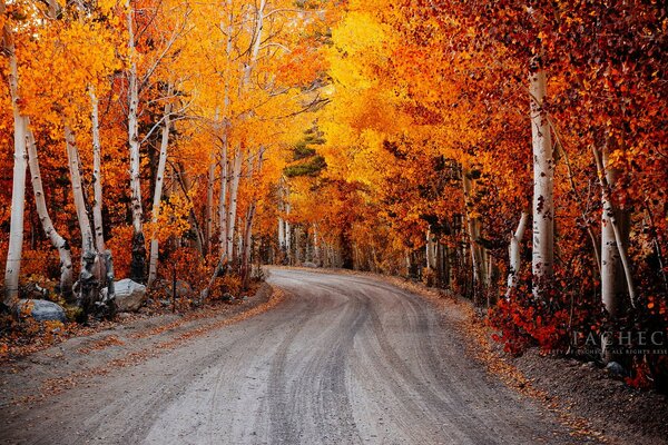 Autumn Road North Lake in California