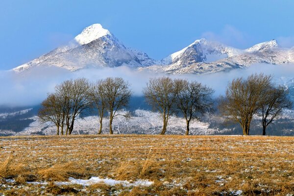 Gebirge im Winter in der Slowakei