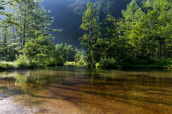 Nature s paradise landscape