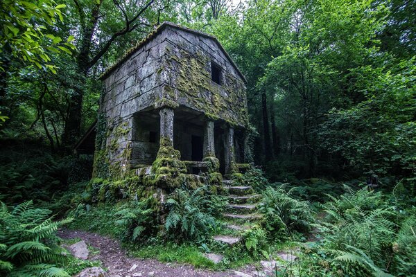 An old house with columns in a green forest