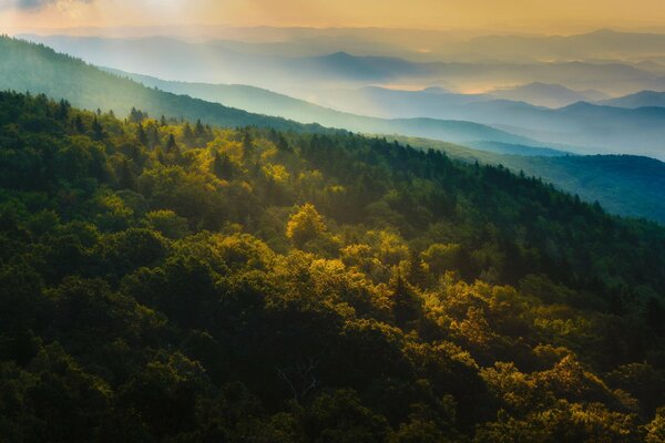 Nature. Autumn forest. Sunrise. Mountains