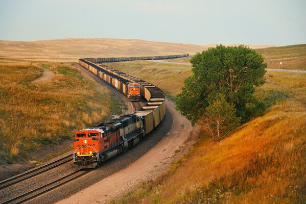 Autumn photo. A train passing a field