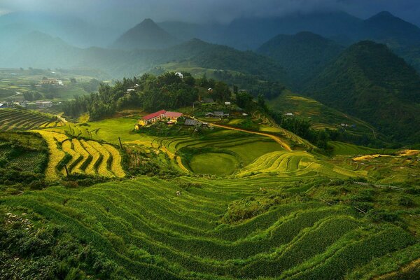 Paisaje con terrazas de arroz