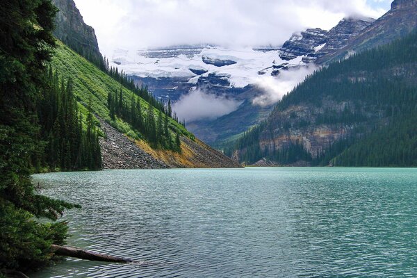 A quiet lake among the Canadian mountains