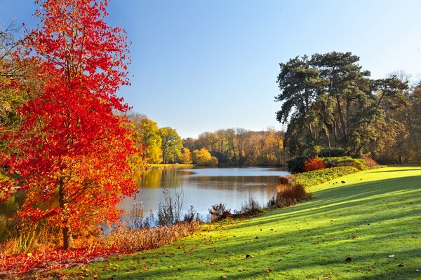 Journée d automne ensoleillée sur le rivage