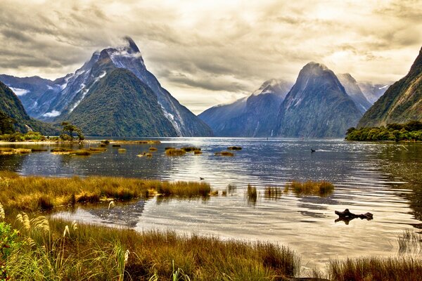 Amazing landscape in New Zealand