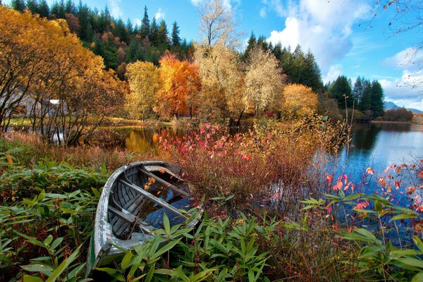 Autumn landscape on the lake shore