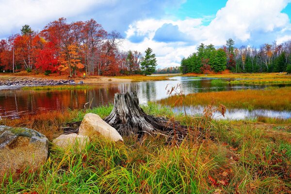 Herbstliche Landschaften. Bäume am Fluss