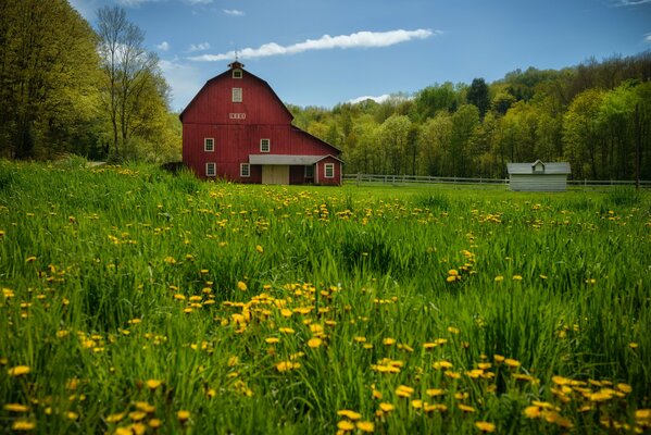 Ein Haus in Pennsylvania, umgeben von Bäumen