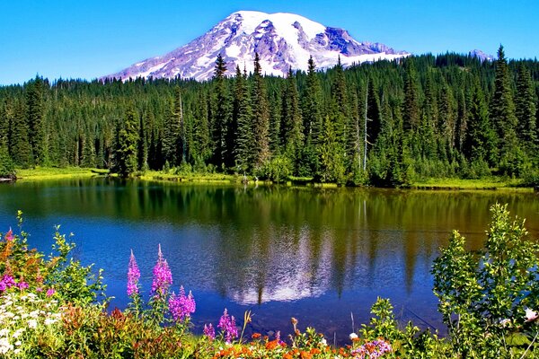 A national park in Canada with mountains, a lake and flowers