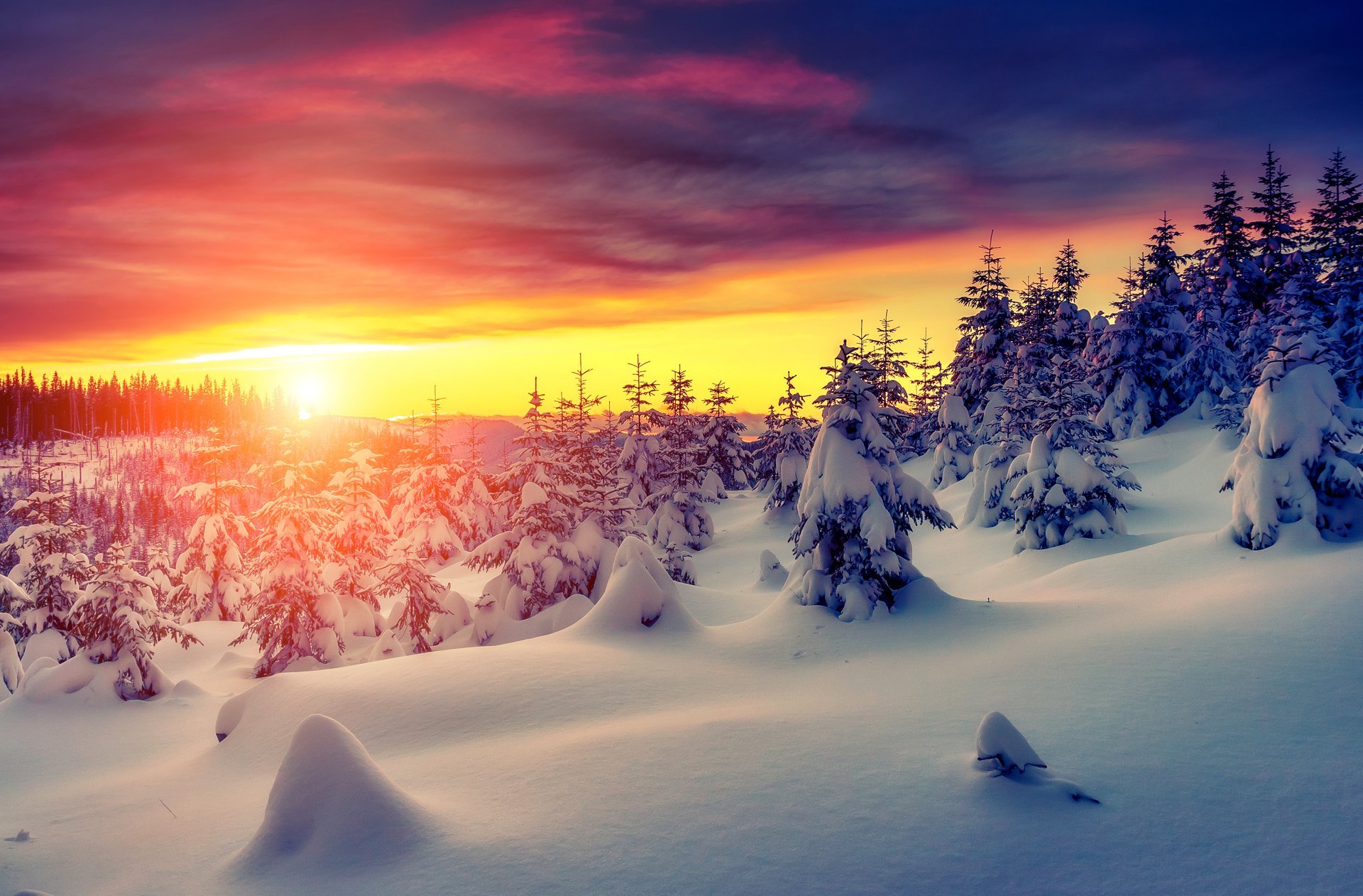 nature hiver neige ciel paysage hiver blanc coucher de soleil