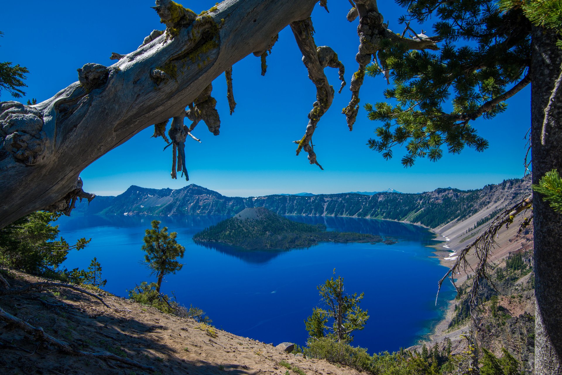 crater lake crater lake national park oregon crater lake isola alberi