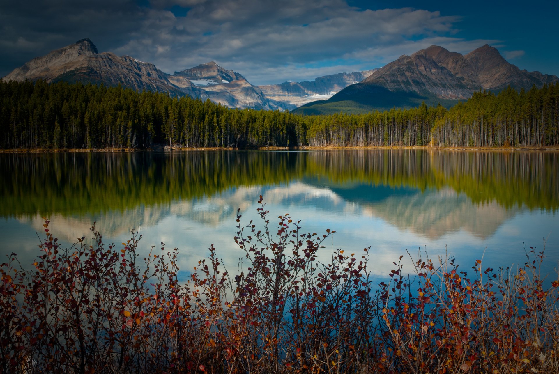 canada lac montagnes réflexion forêt buissons