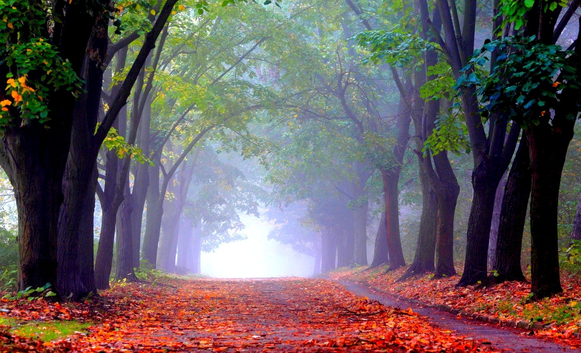 autunno vicolo parco