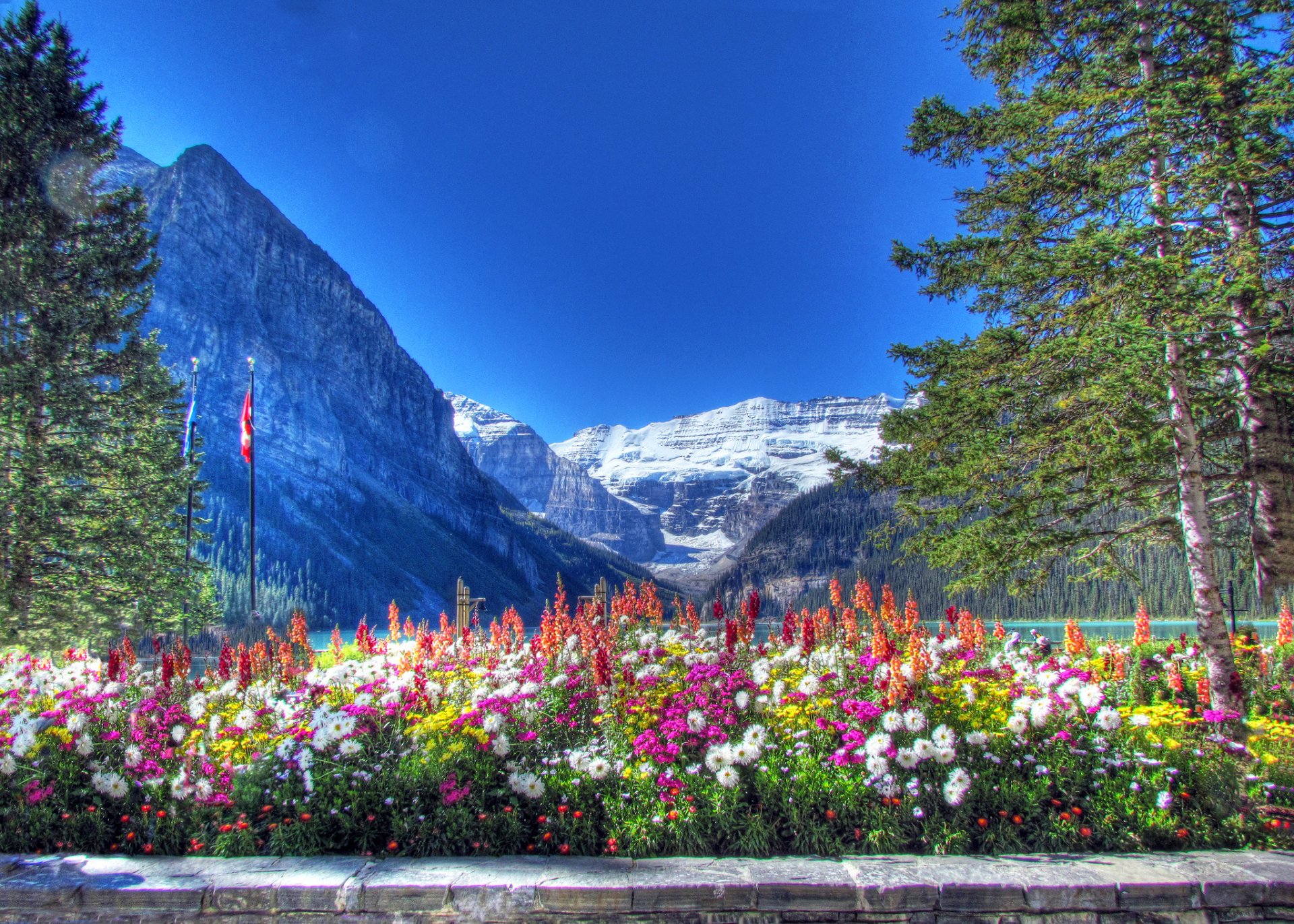 banff national park alberta kanada berge himmel see bäume blumen blumenbeet schnee