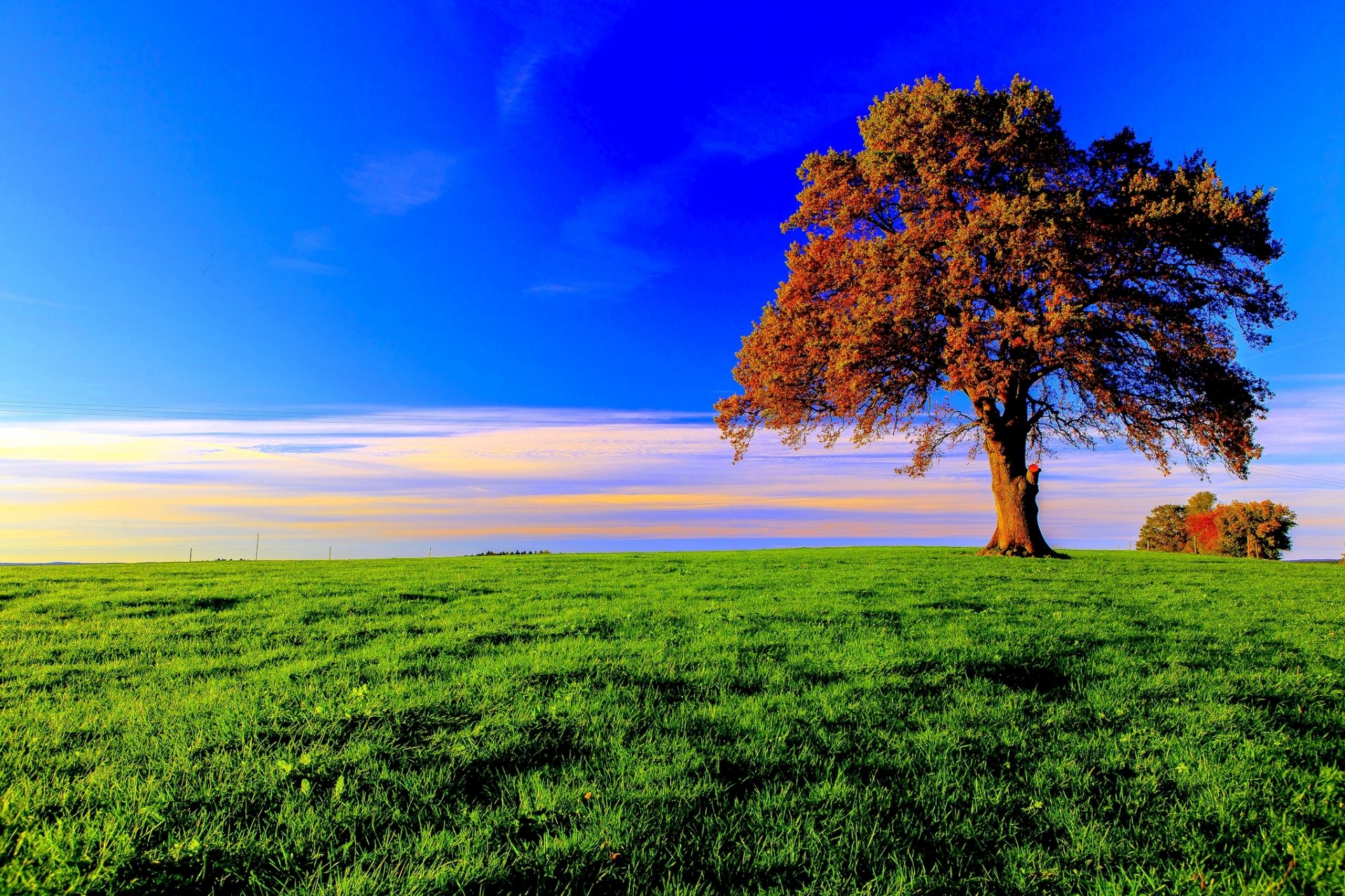 herbst baum laub gras wiese himmel wolken