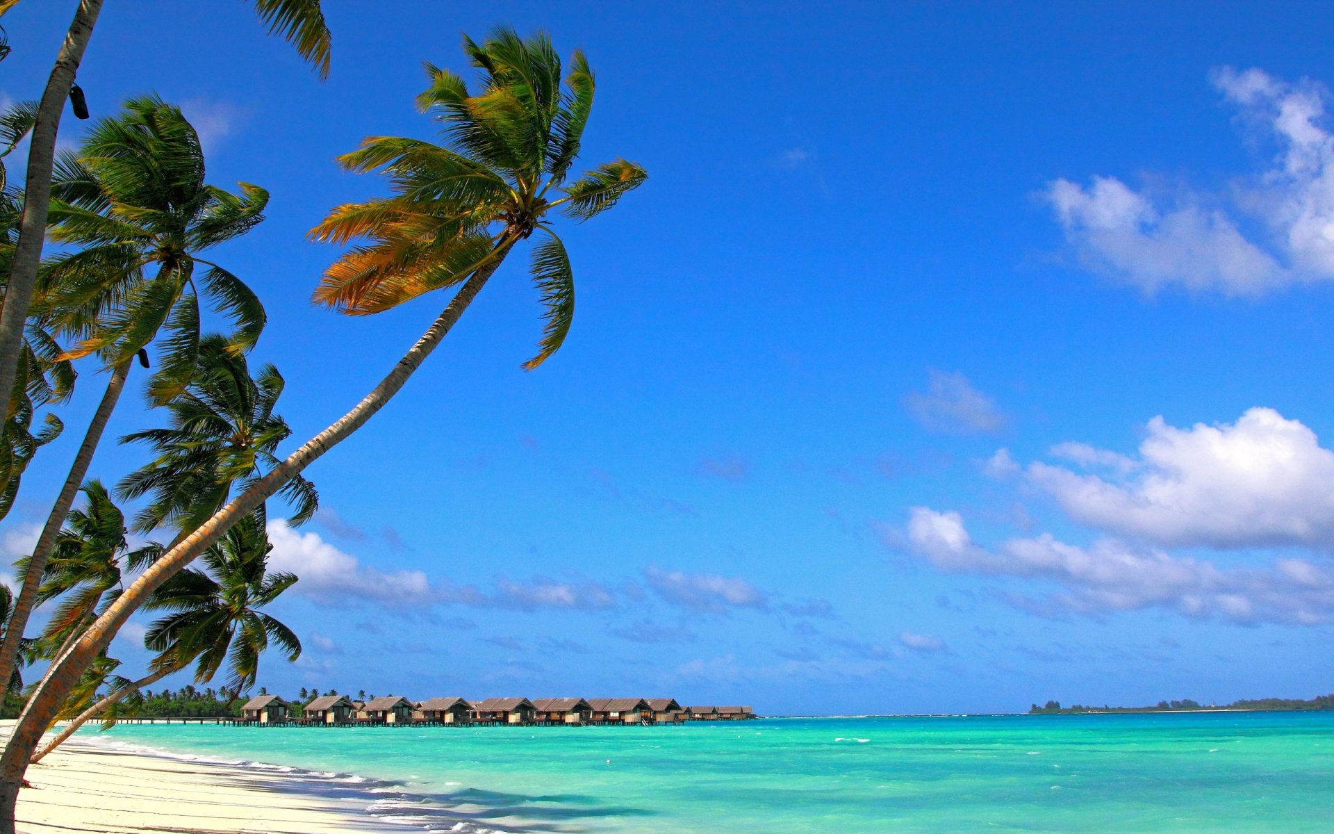 beach palm sand ocean bungalow sky cloud