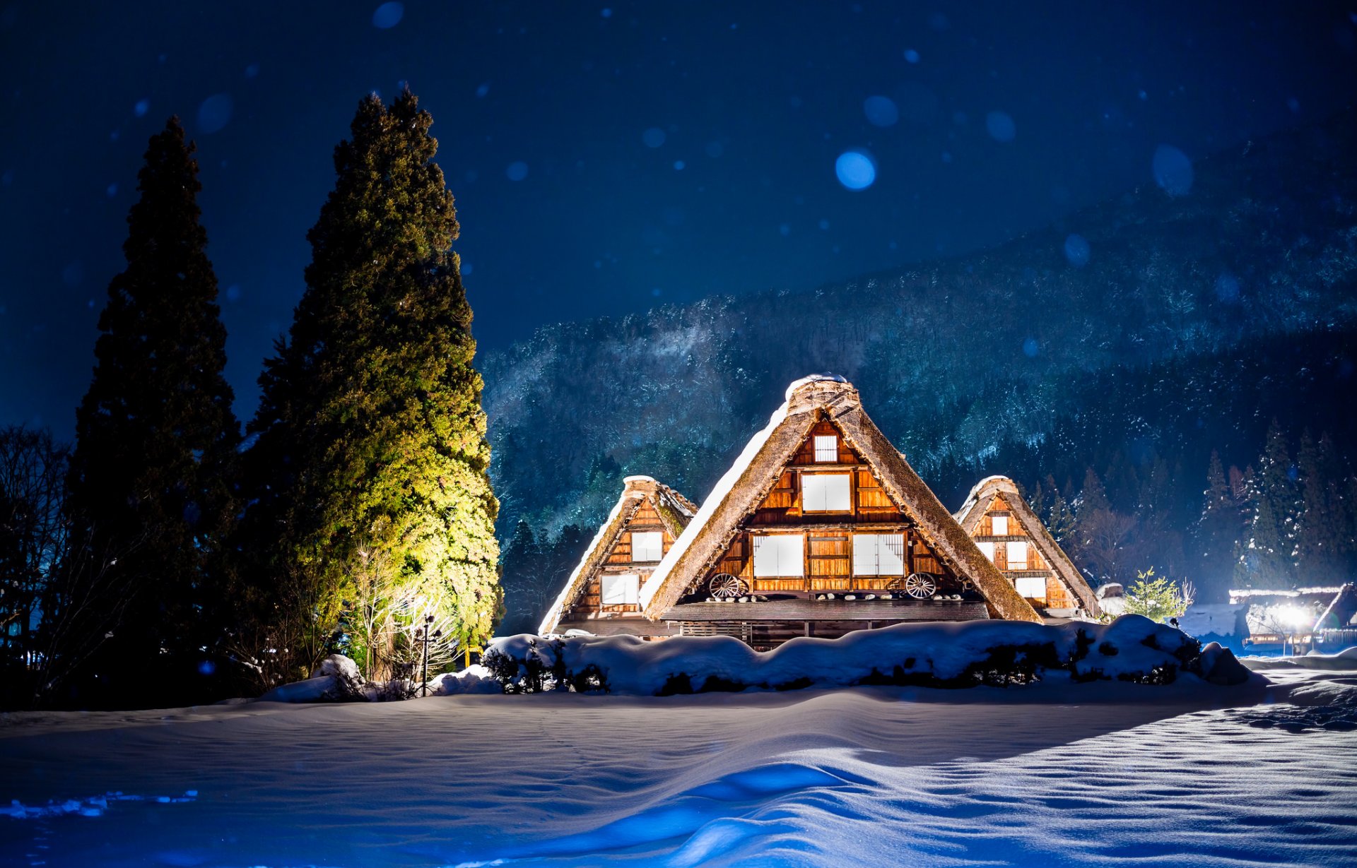 japan night lights house tree mountain winter snow highlight