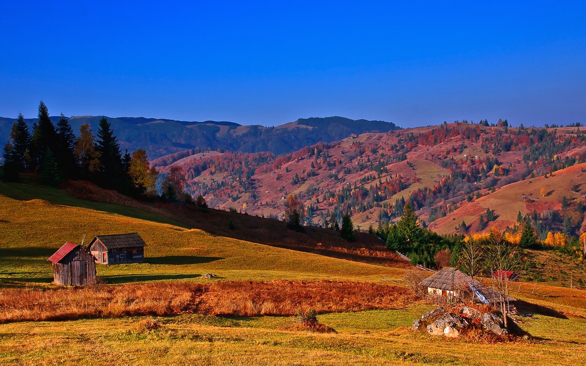 carpazi ucraina cielo montagne pendio alberi capanna casa autunno