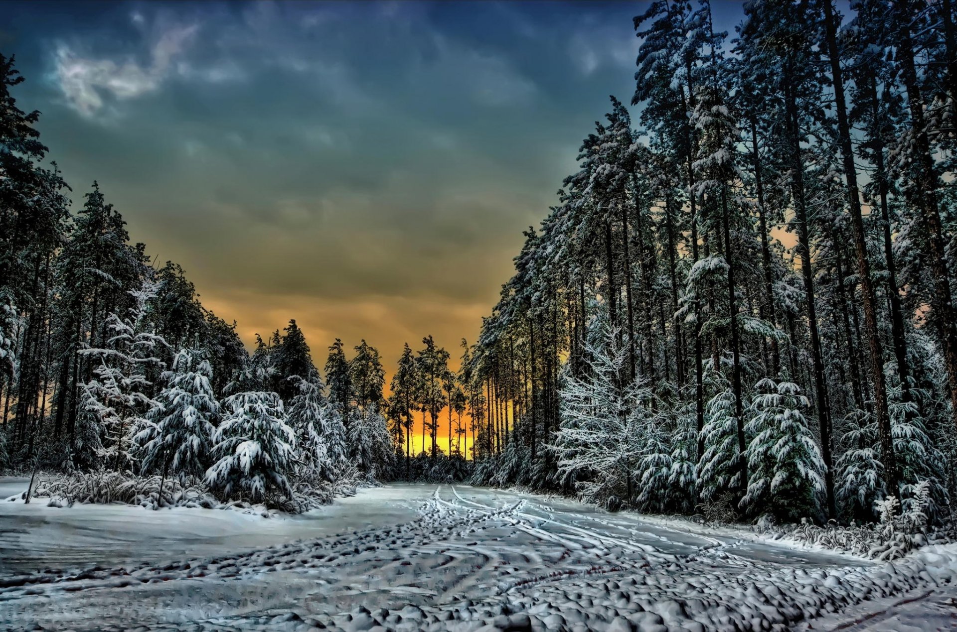 canada ontario foresta inverno neve impronte alberi tramonto nuvole