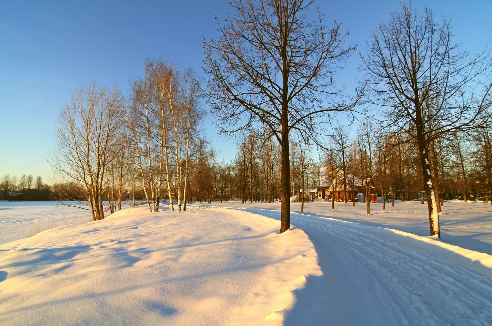 winter tree house road snow morning sky