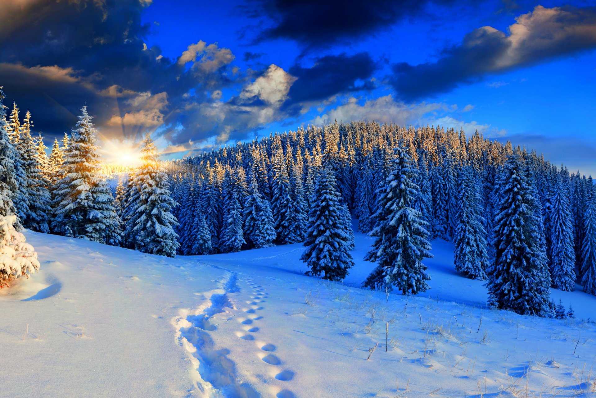 natur winter schnee himmel landschaft winter weiß wald straße cool schön sonnenuntergang