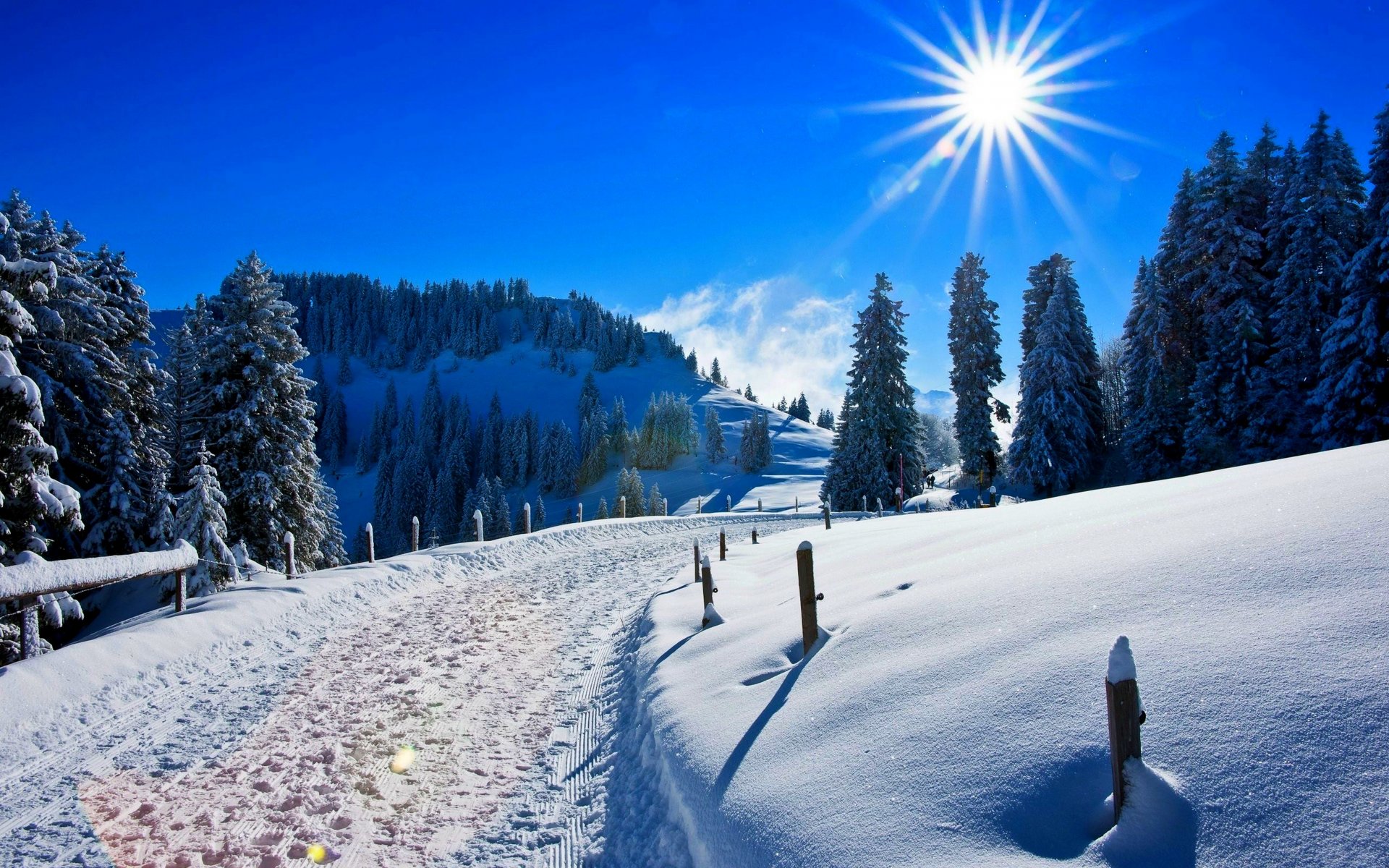 natur straße berg wald park sonne winter schnee himmel landschaft straße berg winter weiß cool schön sonnenuntergang