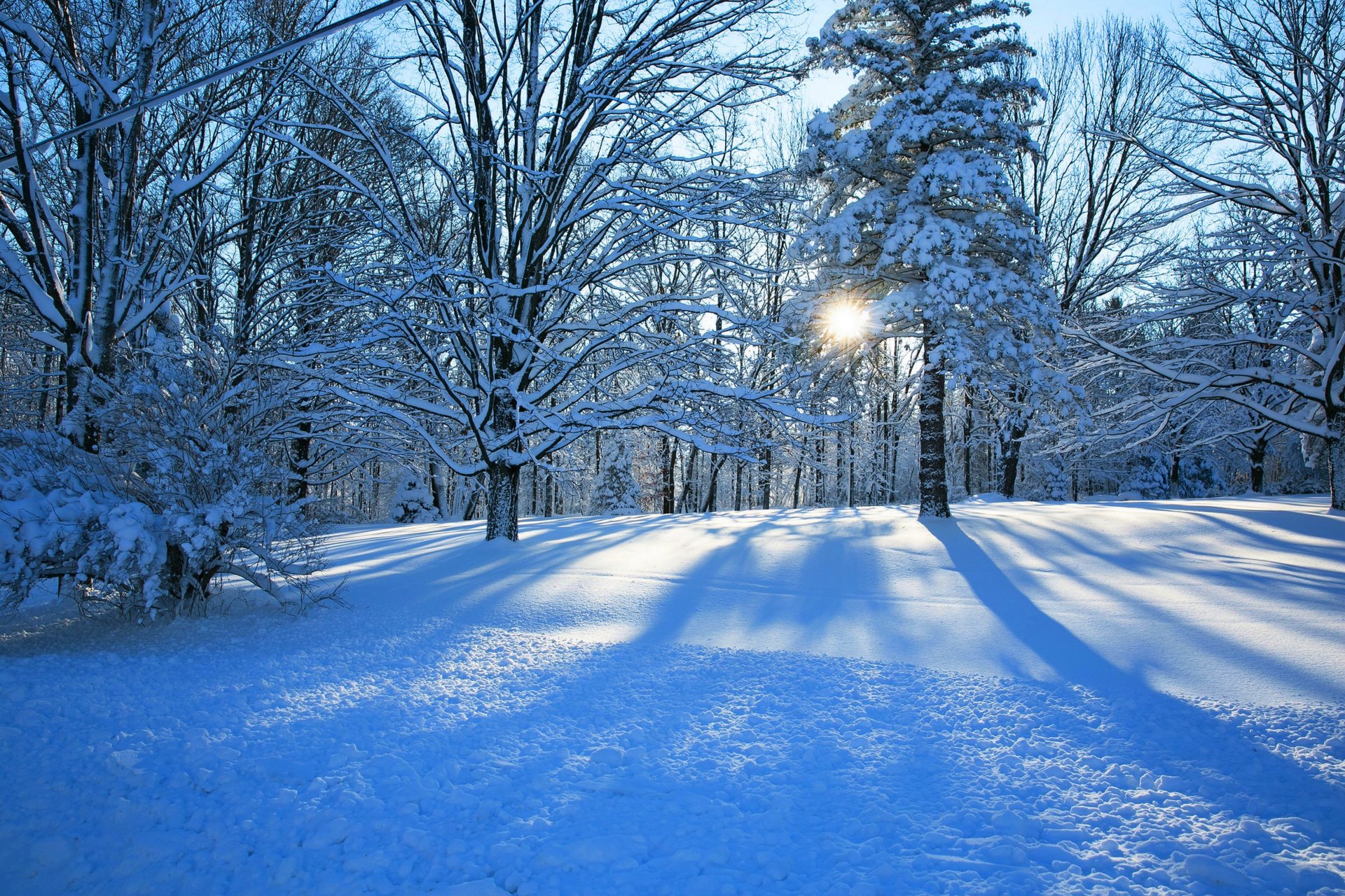 nature hiver neige route arbres forêt ciel paysage hiver blanc sensa nice coucher de soleil