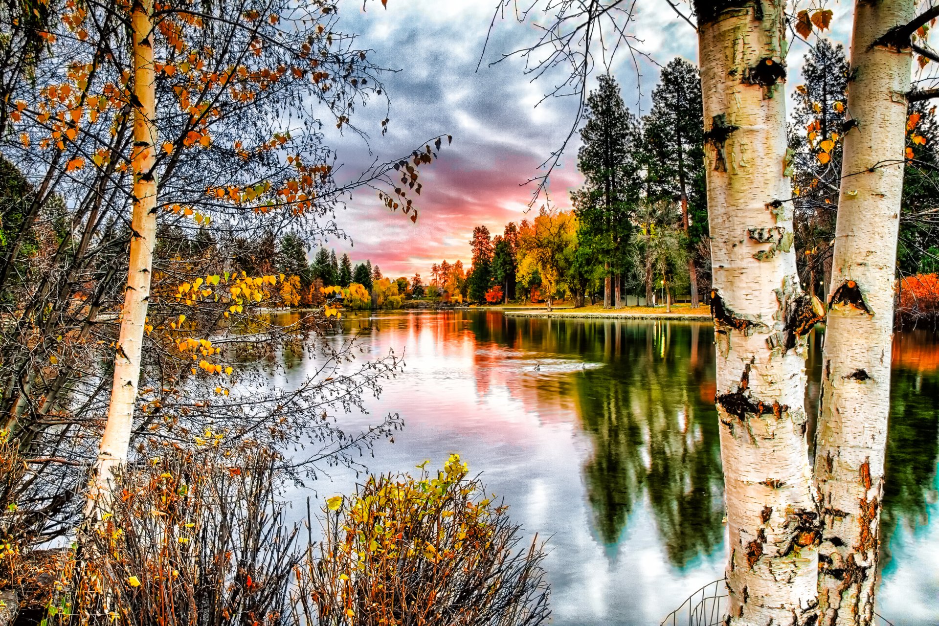 herbst landschaft fluss baum stamm bäume birken natur foto