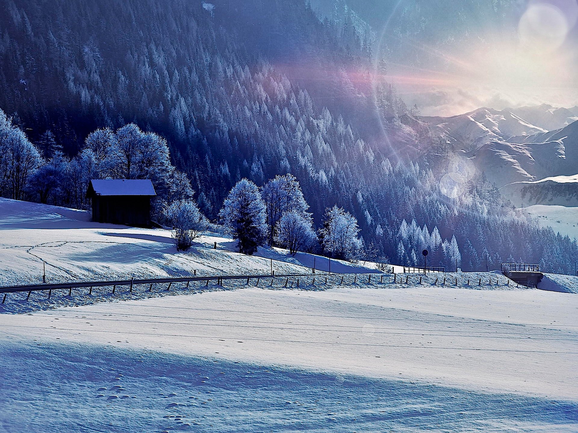 hiver neige lumière vive soleil