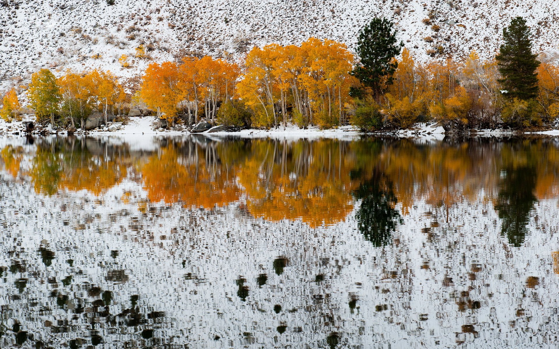 otoño de nieve bishop creek california refection